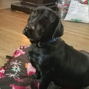 Meet your Posher, Trish